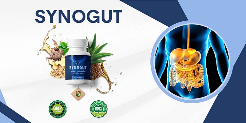 What Is Synogut?